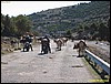 IMG_7945.jpg
