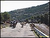 IMG_7946.jpg