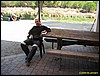IMG_7951.jpg