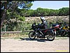 IMG_7955.jpg