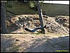 IMG_7969.jpg