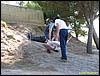 IMG_7974.jpg