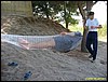 IMG_7978.jpg