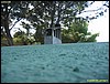IMG_7993.jpg