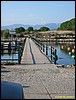 IMG_7998.jpg