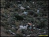 IMG_8009.jpg