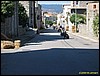 IMG_8027.jpg