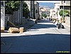 IMG_8028.jpg