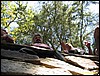 IMG_8062.jpg