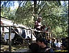 IMG_8070.jpg