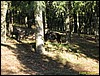 IMG_8095.jpg