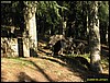 IMG_8096.jpg