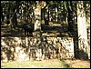 IMG_8097.jpg