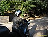 IMG_8101.jpg