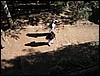012.JPG