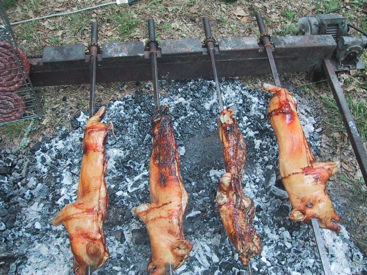 porcetti.JPG