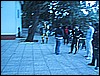 IMG_4917.JPG