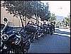 IMG_4919.JPG