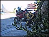 IMG_4931.JPG