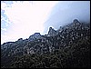 IMG_4973.JPG