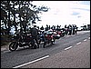 IMG_4982.JPG