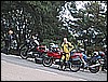 IMG_4986.JPG