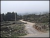 IMG_4990.JPG