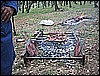 IMG_4992.JPG