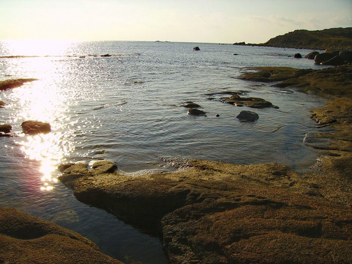 113.jpg