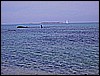 035.jpg