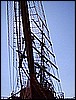 042.jpg