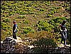 062.jpg