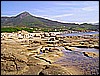 107.jpg