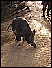134.jpg