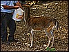 139.jpg