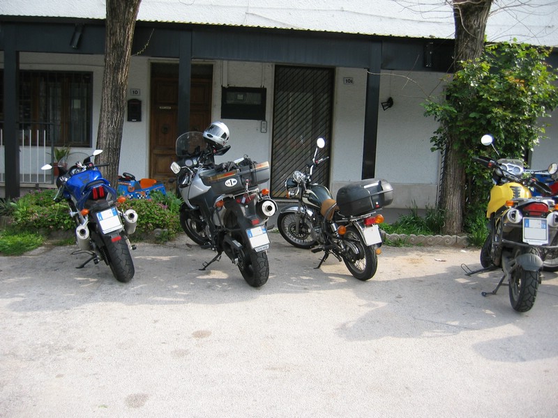 IMG_3313.JPG