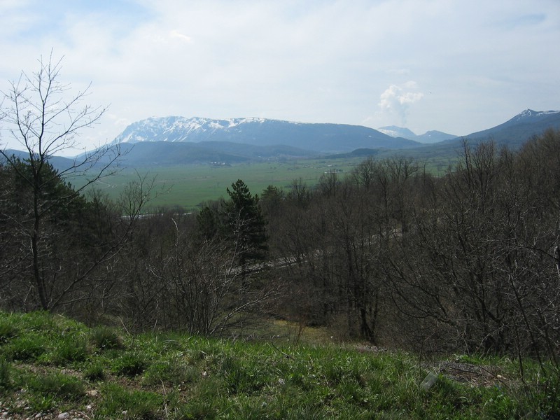 IMG_3326.JPG