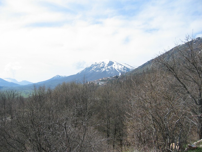 IMG_3327.JPG