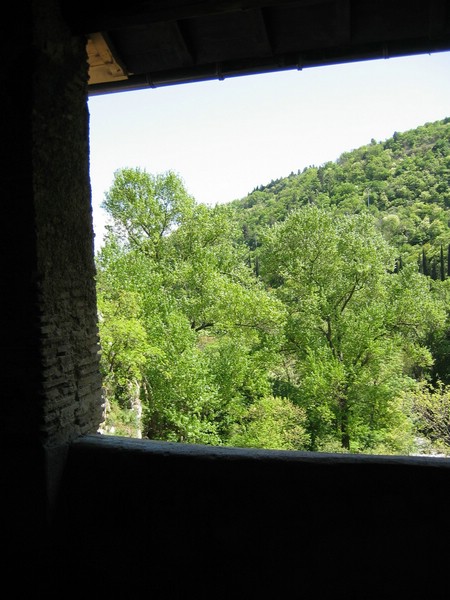 IMG_3341.JPG