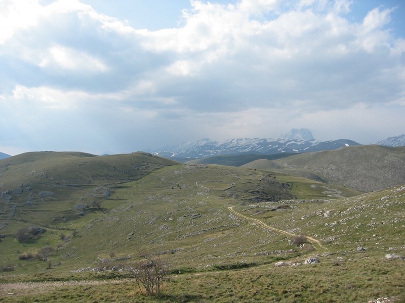 IMG_3371.JPG