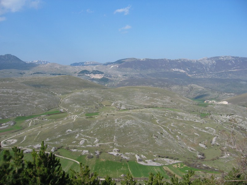 IMG_3376.JPG