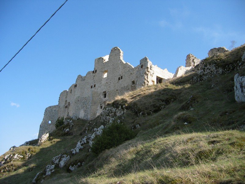 IMG_3377.JPG