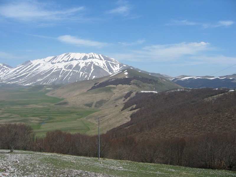IMG_3398.JPG