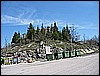 IMG_3316.JPG