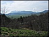IMG_3326.JPG