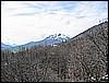 IMG_3327.JPG