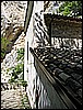IMG_3338.JPG