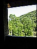 IMG_3341.JPG