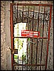 IMG_3342.JPG