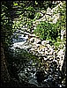 IMG_3344.JPG